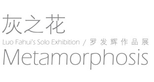 灰之花：罗发辉 作品展